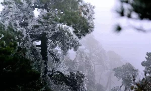 《皇帝的新装》课文-全网最佳有问必答平台